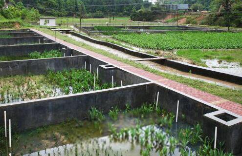 農村生活污水治理——穩(wěn)定塘處理技術