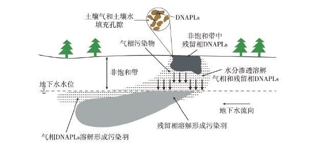 DNAPLs泄漏至地表后，受到重力作用向下遷移