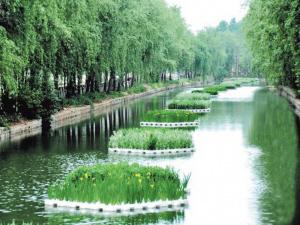 生態(tài)浮島技術.jpg